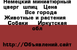 Немецкий миниатюрный(цверг) шпиц › Цена ­ 50 000 - Все города Животные и растения » Собаки   . Иркутская обл.